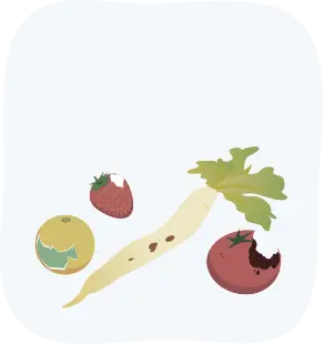 農家：廃棄野菜・果物